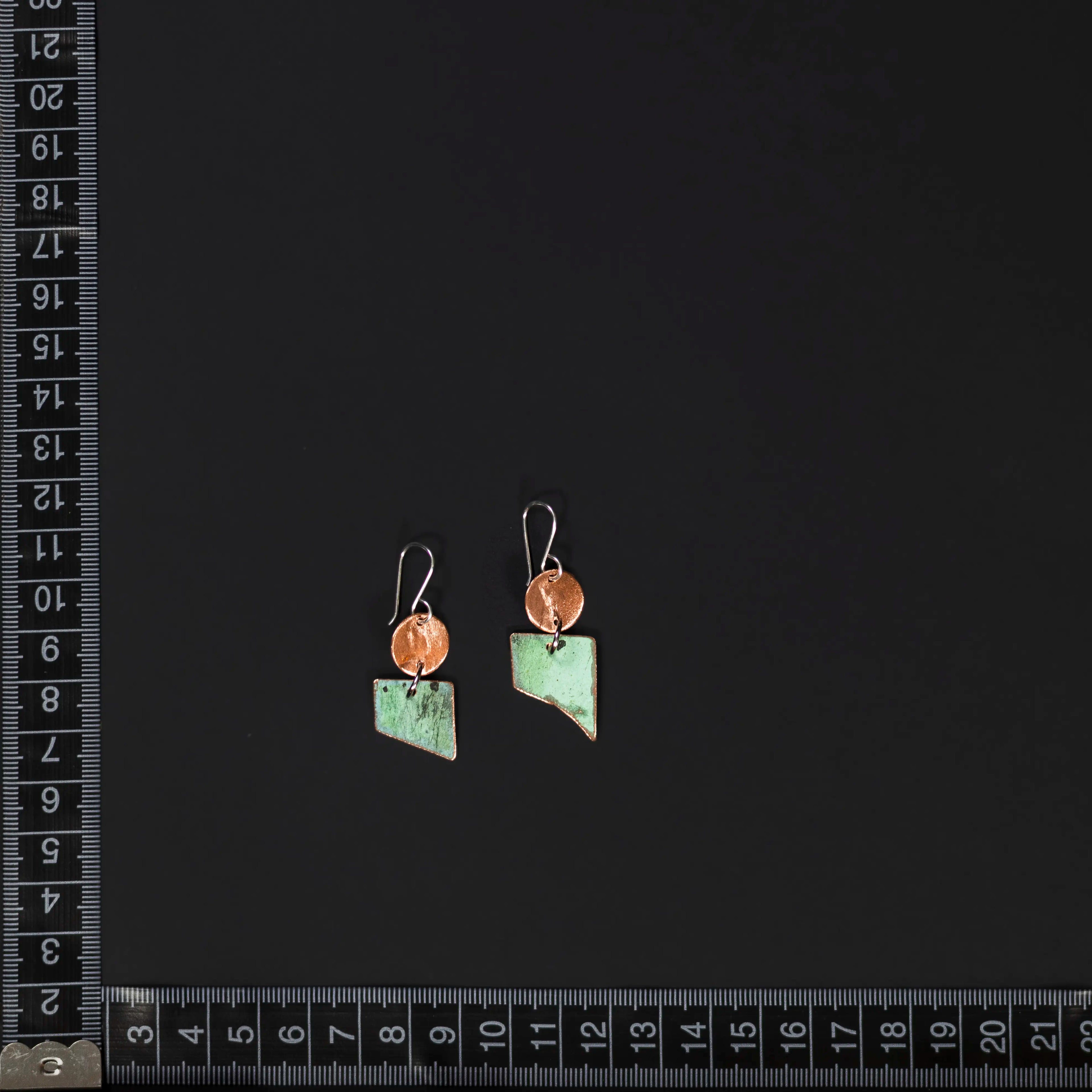 You'll Like Tacoma - Copper Circle Earrings
